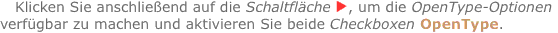 Klicken Sie anschließend auf die Schaltfläche ?, um die OpenTyp
