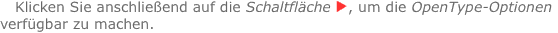 Klicken Sie anschließend auf die Schaltfläche ?, um die OpenTyp