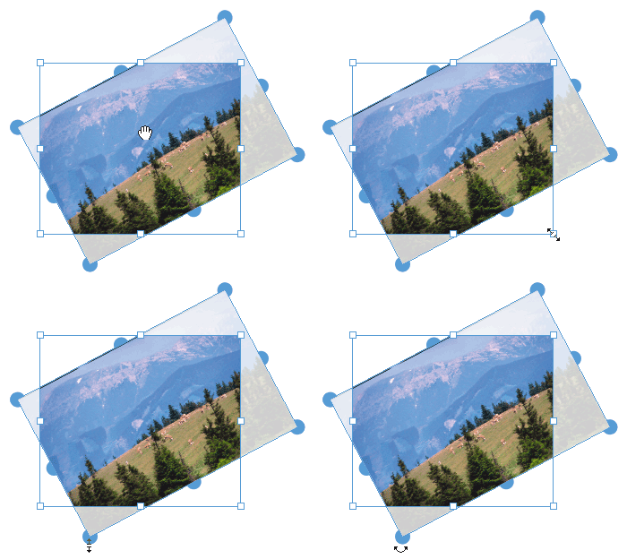 Screenshot - QuarkXPress 8