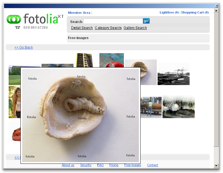 Screenshot - Fotolia XT
