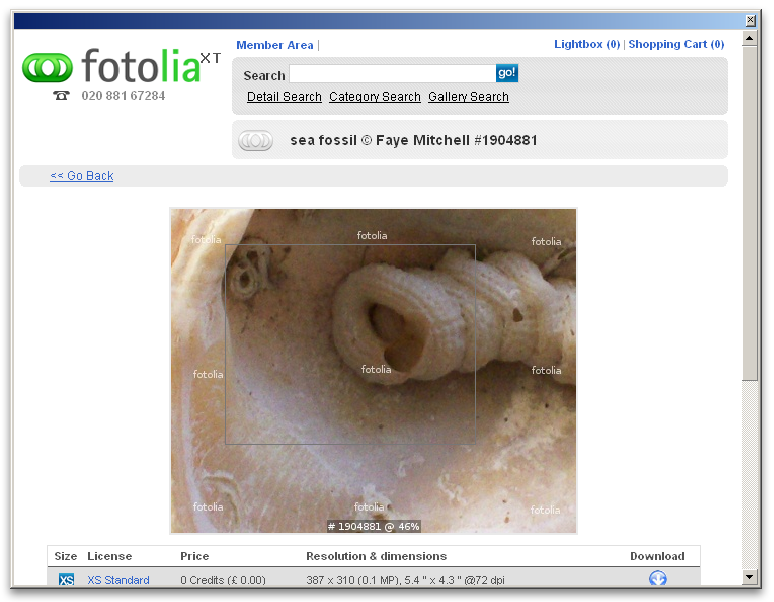 Screenshot - Fotolia XT
