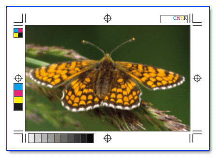 Screenshot – Crops XT