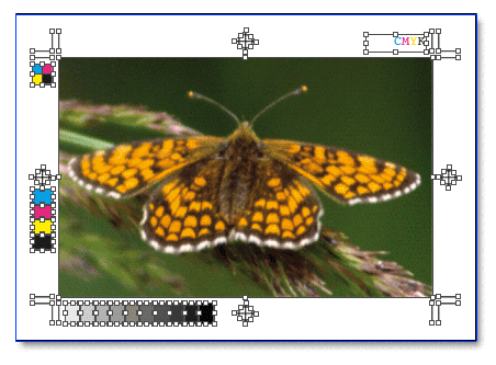 Screenshot – Crops XT