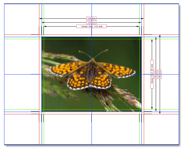 Screenshot – Cropster