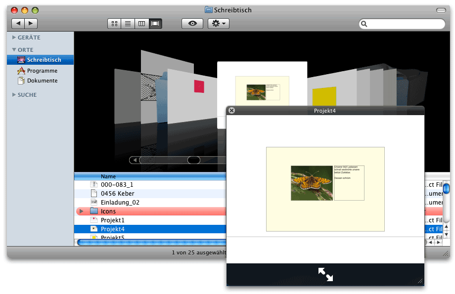 Screenshot - Quick Look Filter