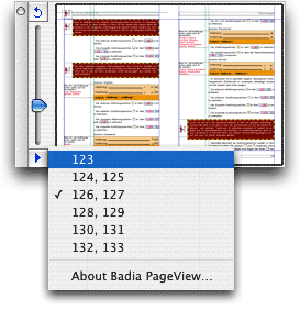 Screenshot – PageView
