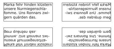Screenshot – Spiegeln